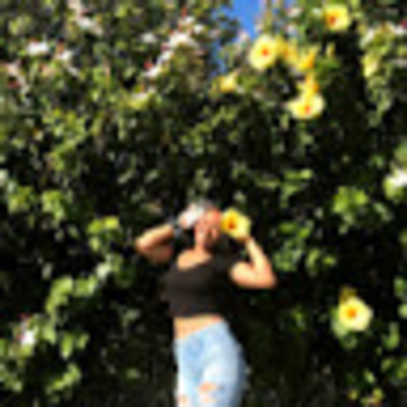 Meet your Posher, Dilyn - Picture 1 of 1